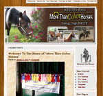 More Than Color Horses - www.mtchorses.com